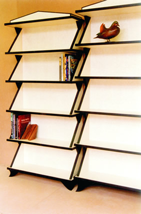 Art Gallery Shelving