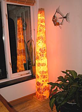 Light Cones. Click for further details.